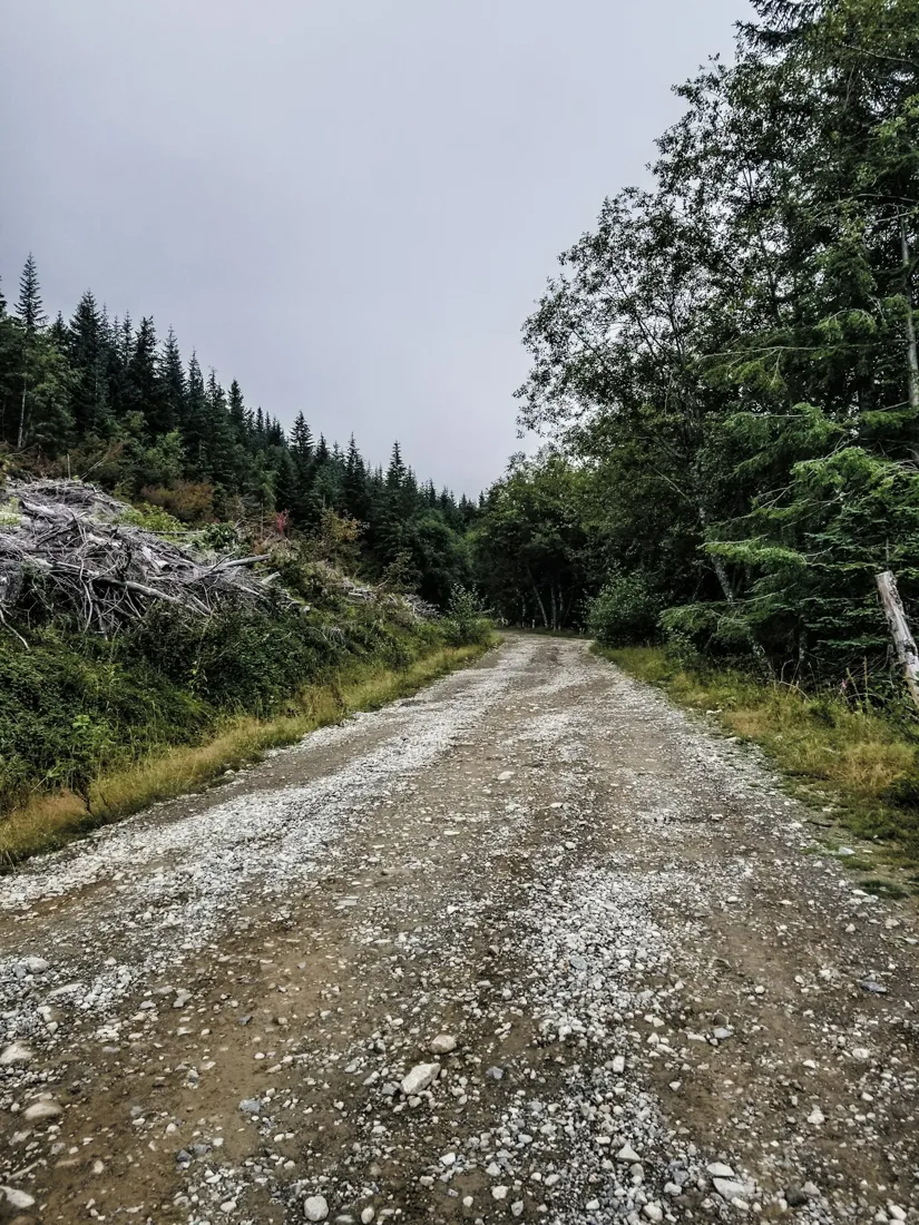 Rocky gravel road through forest terrain