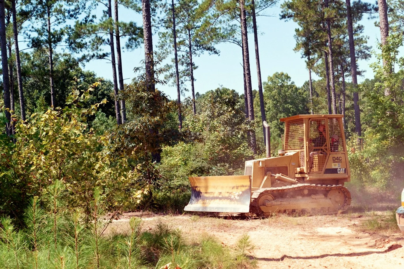 Bulldozer on a wooded access route